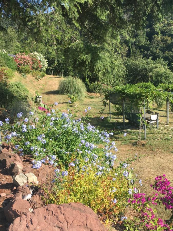 Cinque Terre, Tuscany, Liguria, Lerici #5 エクステリア 写真