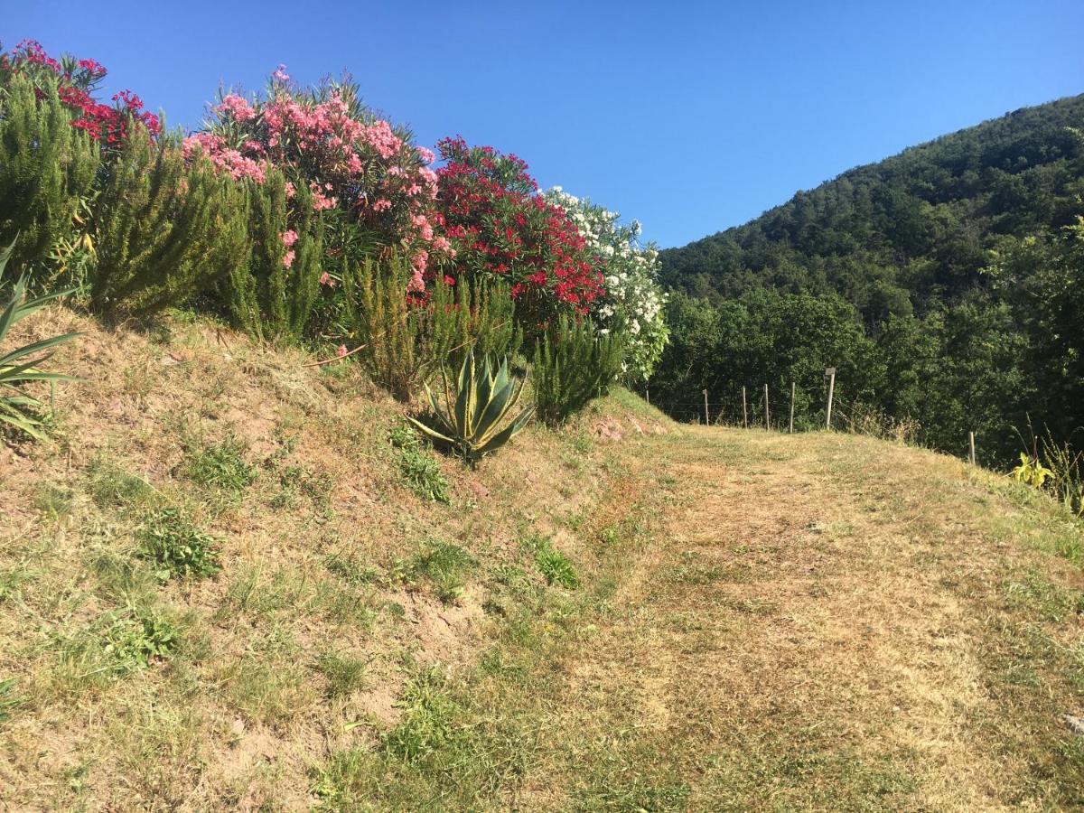 Cinque Terre, Tuscany, Liguria, Lerici #5 エクステリア 写真